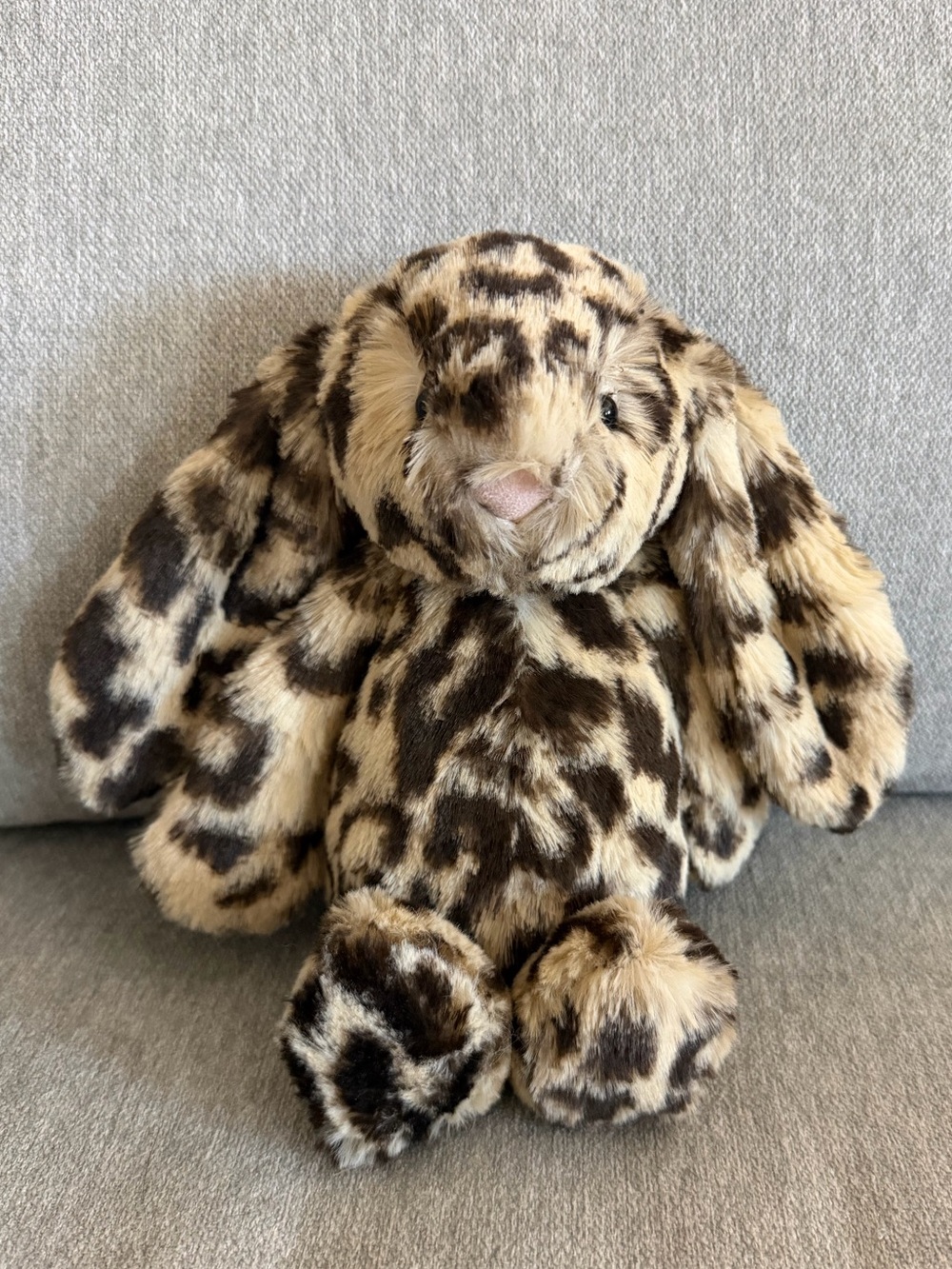 Special Edition Bashful Dixie Bunny